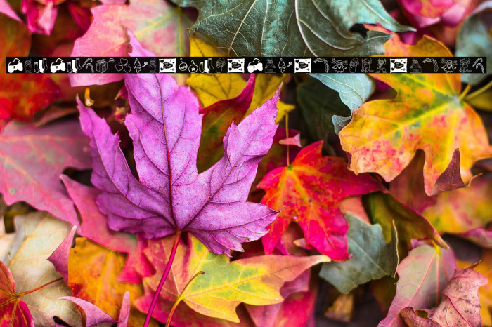 Pimp My Christmas_PersonalUseOnly Example 3