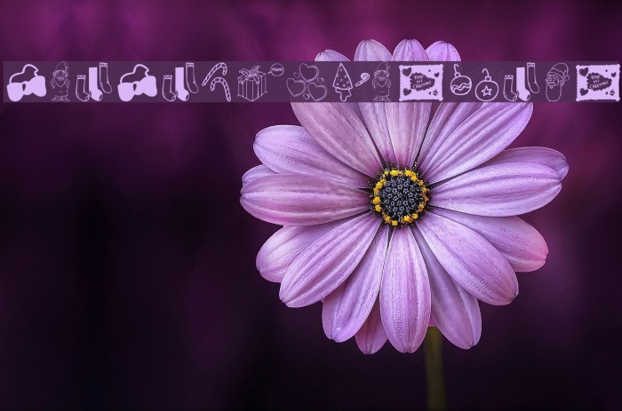 Pimp My Christmas Example 1