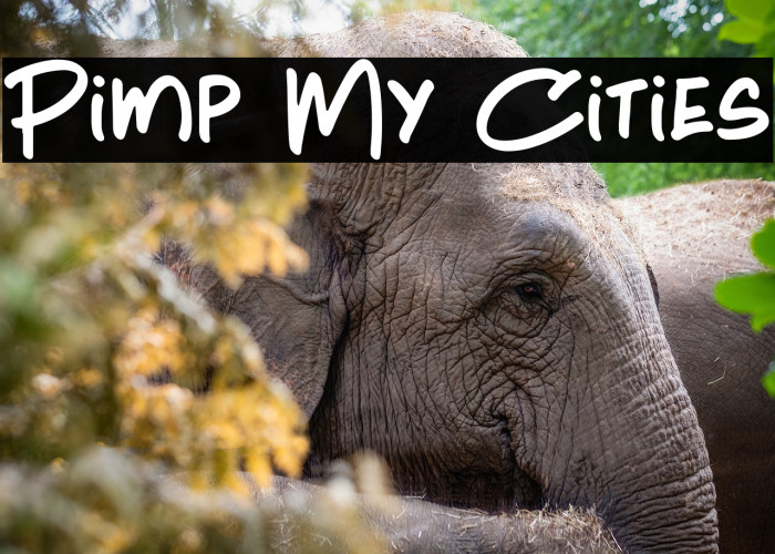 Pimp My Cities Example 1