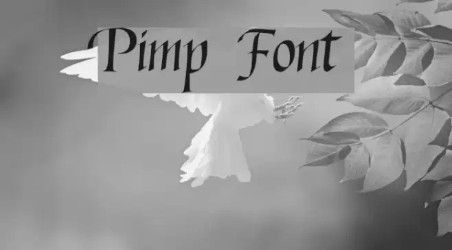 Pimp Font examples