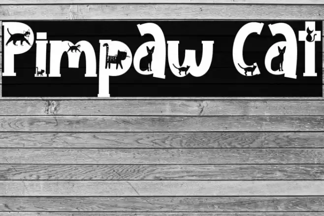 Pimpaw Cat Font examples