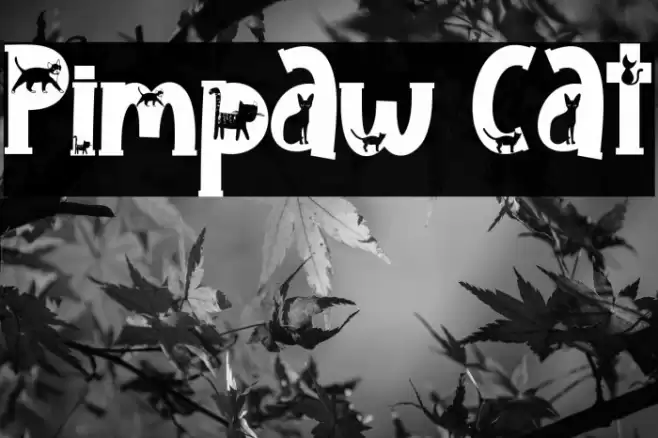 Pimpaw Cat Font examples