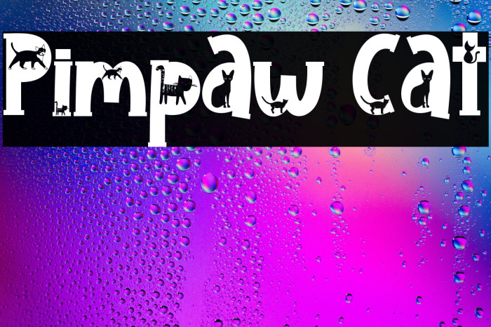 Pimpaw Cat Example 3