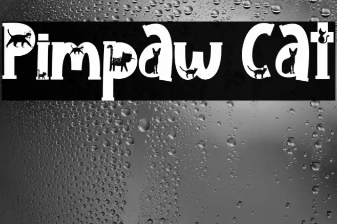 Pimpaw Cat Font examples