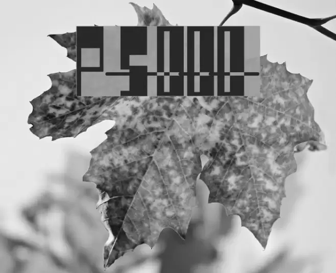 Pimpbot 5000 Font examples