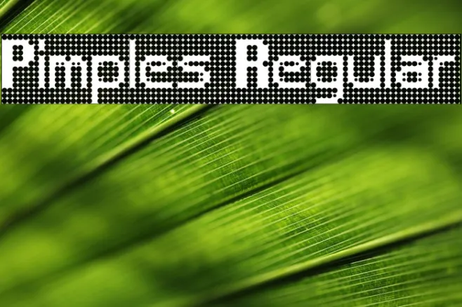 Pimples Regular Example 3