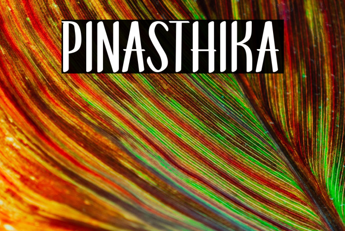 Pinasthika Example 1