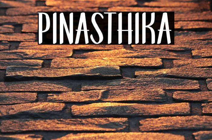 Pinasthika Example 3