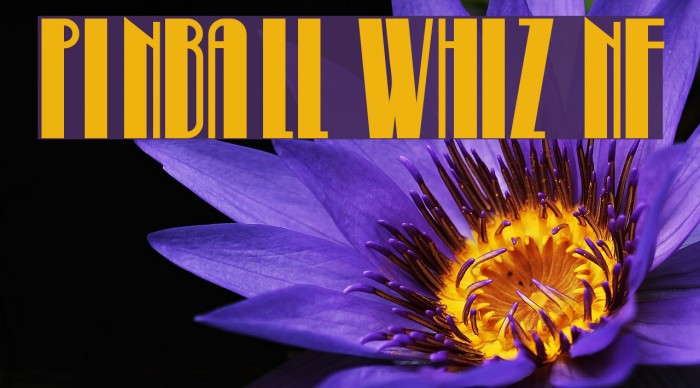 Pinball Whiz NF Font examples