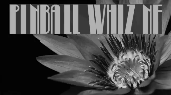 Pinball Whiz NF Font examples