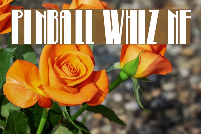 Pinball Whiz NF Font examples
