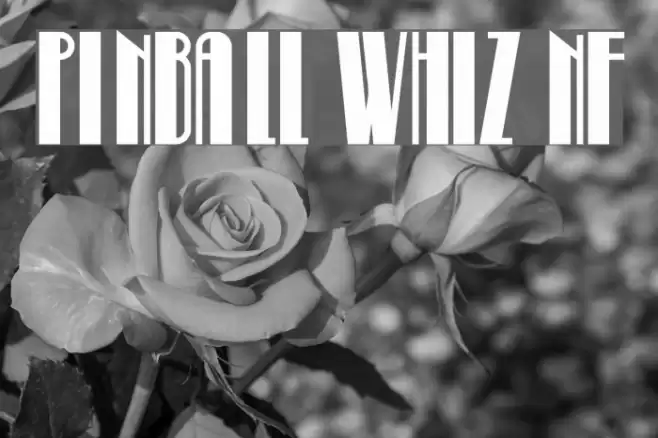 Pinball Whiz NF Font examples