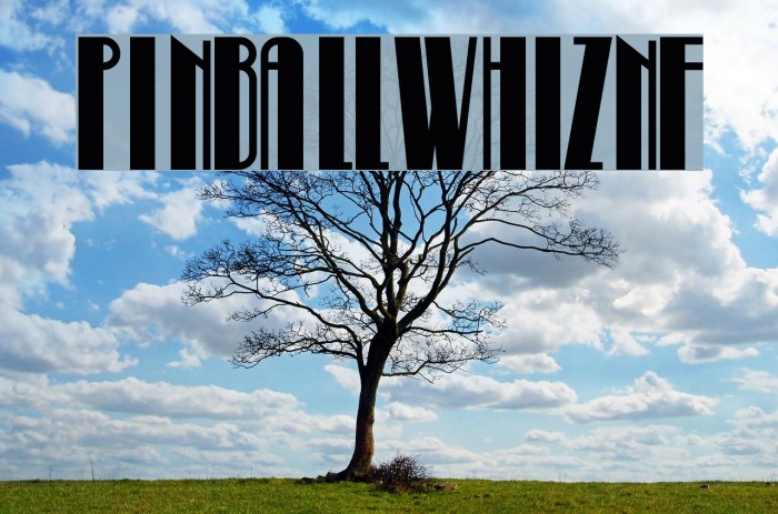 PinballWhizNF Example 1