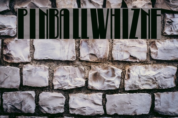 PinballWhizNF Example 3