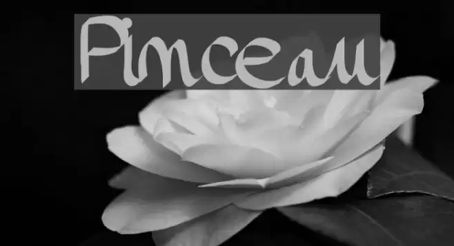 Pinceau Font examples