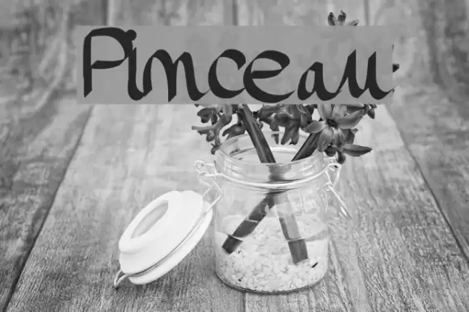 Pinceau Font examples