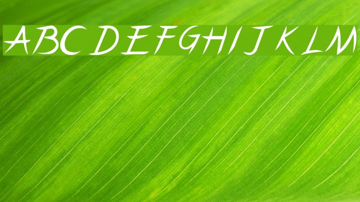 Pincel Caps Example 1