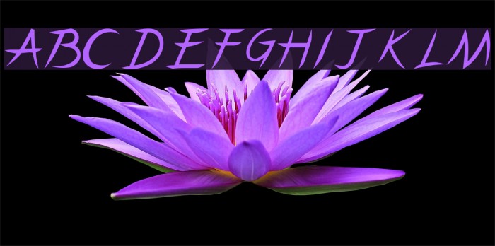 Pincel Caps Example 3