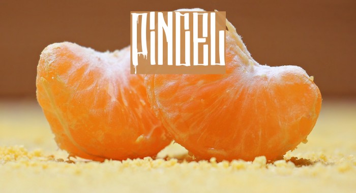 Pincel Font examples