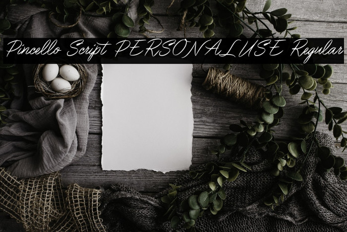 Pincello Script PERSONAL USE Regular Example 2