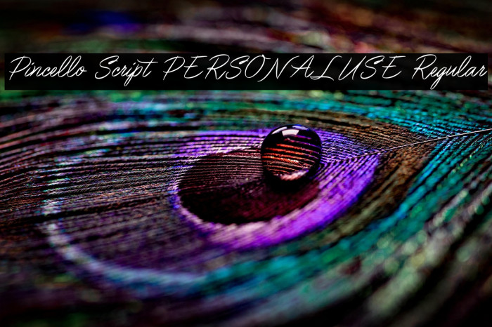 Pincello Script PERSONAL USE Regular Example 3