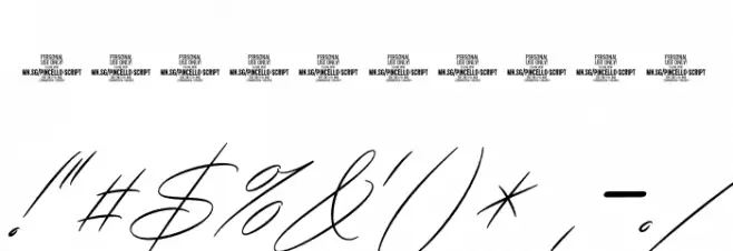 Pincello Script PERSONAL USE Thin Font OTHER CHARS