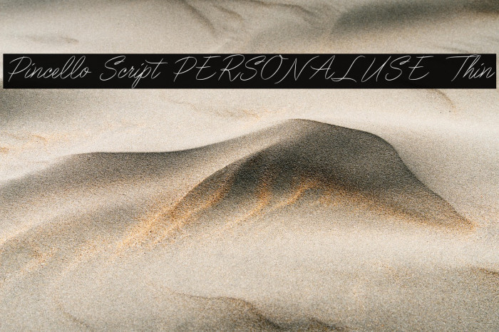 Pincello Script PERSONAL USE Thin Example 1