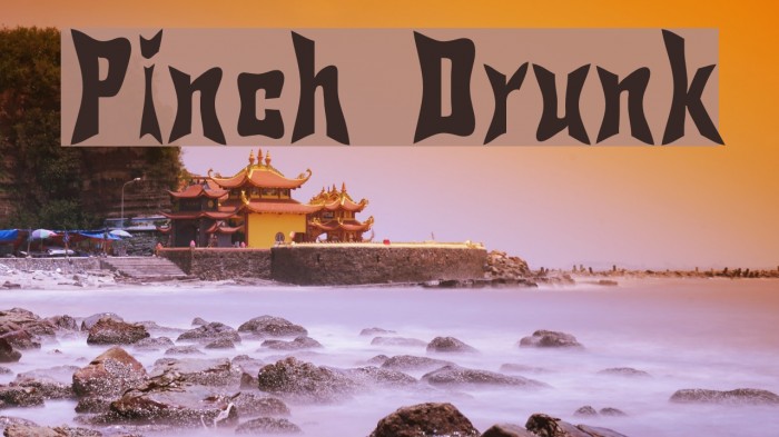 Pinch Drunk Font examples