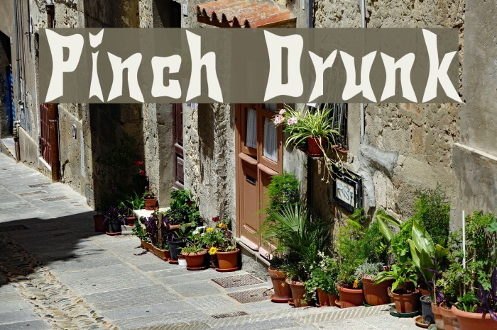 Pinch Drunk Font examples