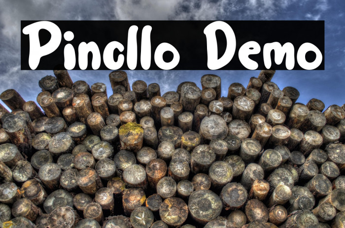 Pincllo Demo Example 1