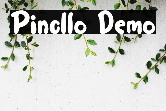 Pincllo Demo Example 2