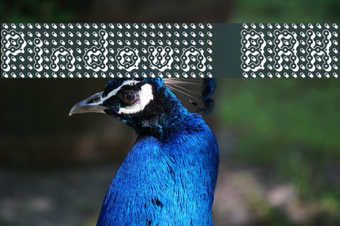 Pindown BRK Font examples