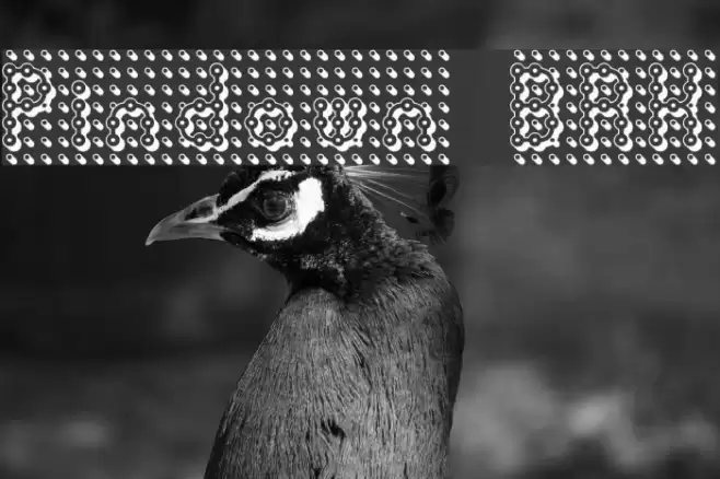 Pindown BRK Шрифта examples