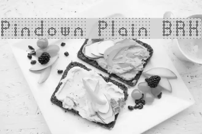 Pindown Plain BRK フォント examples