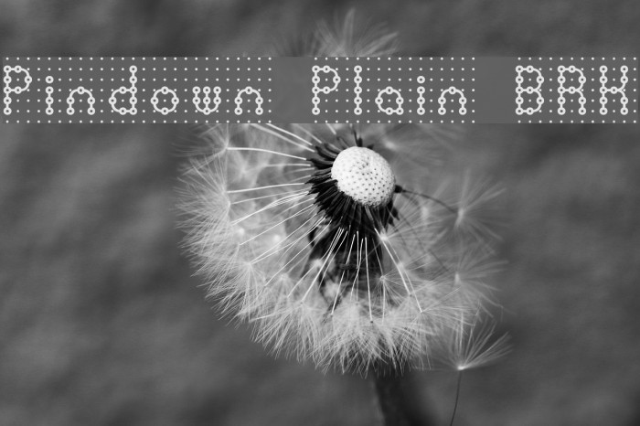 Pindown Plain BRK フォント examples