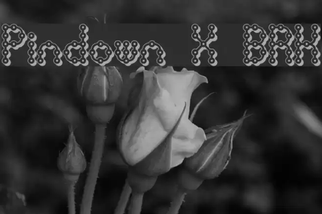 Pindown X BRK Шрифта examples