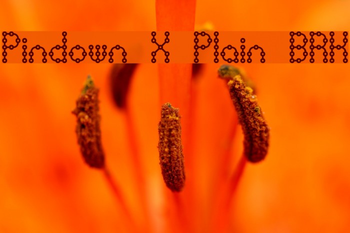 Pindown X Plain BRK Font examples