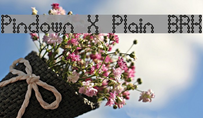 Pindown X Plain BRK Font examples
