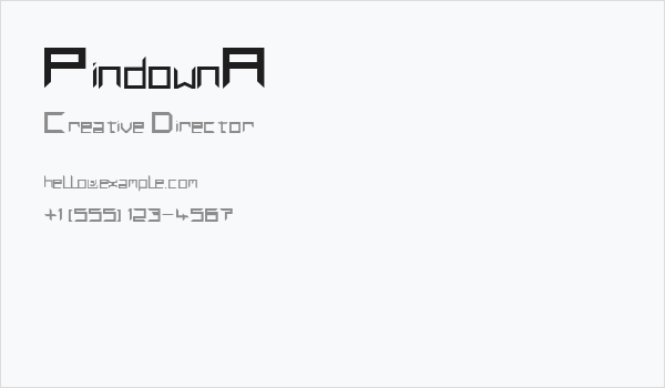 PindownA Business Card