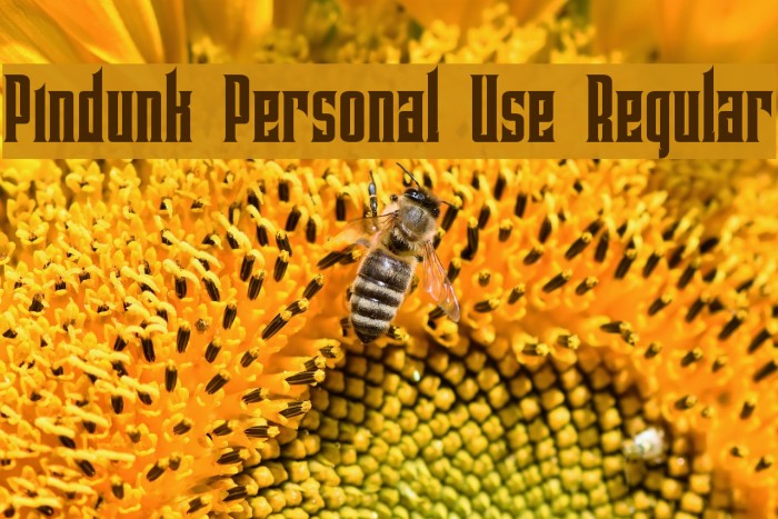 Pindunk Personal Use Regular Example 1