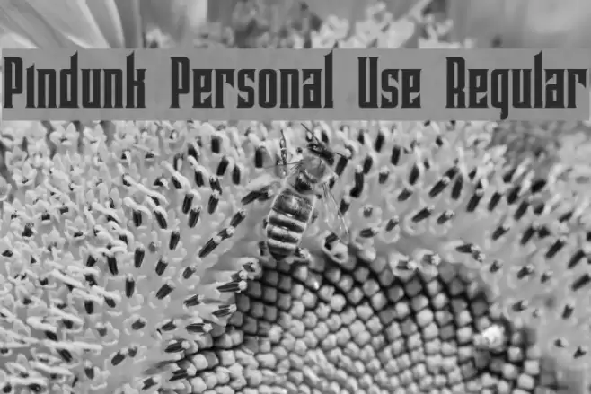 Pindunk Personal Use Regular Font examples