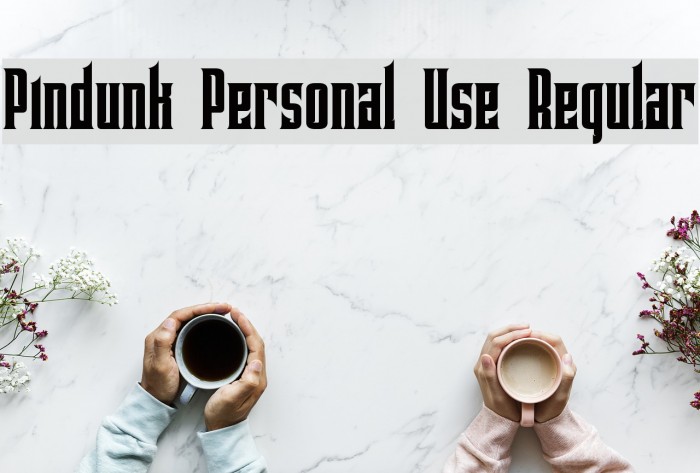 Pindunk Personal Use Regular Example 3