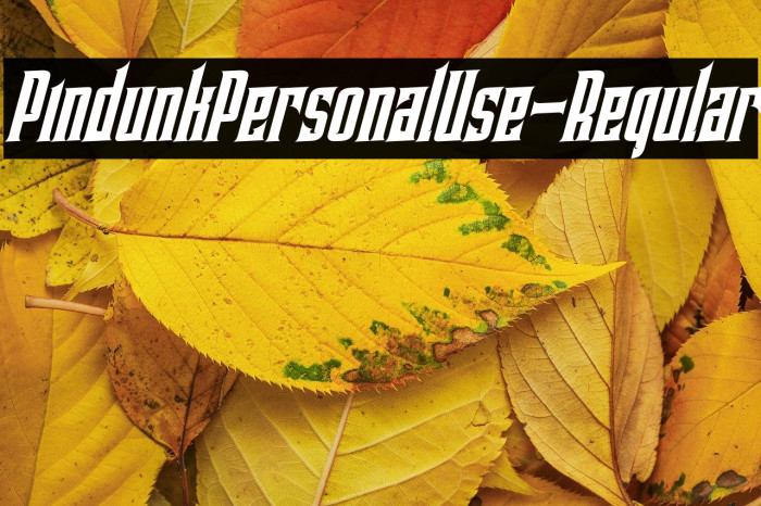 PindunkPersonalUse-Regular Example 1