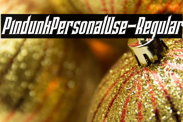 PindunkPersonalUse-Regular Example 2