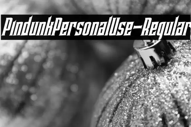 PindunkPersonalUse-Regular Font examples