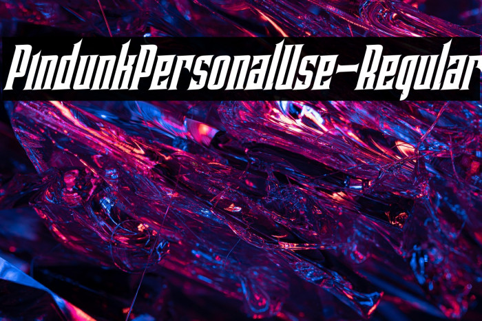 PindunkPersonalUse-Regular Example 3