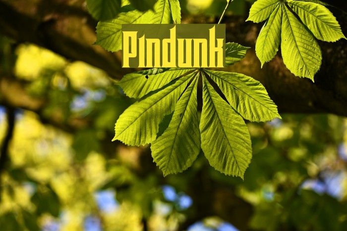 Pindunk Font examples
