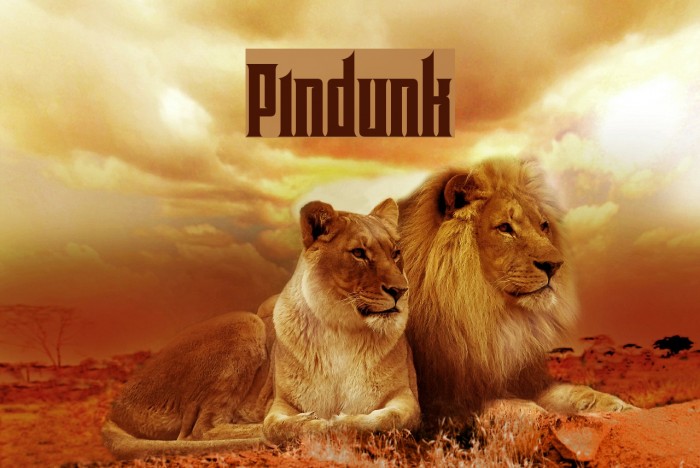 Pindunk Font examples