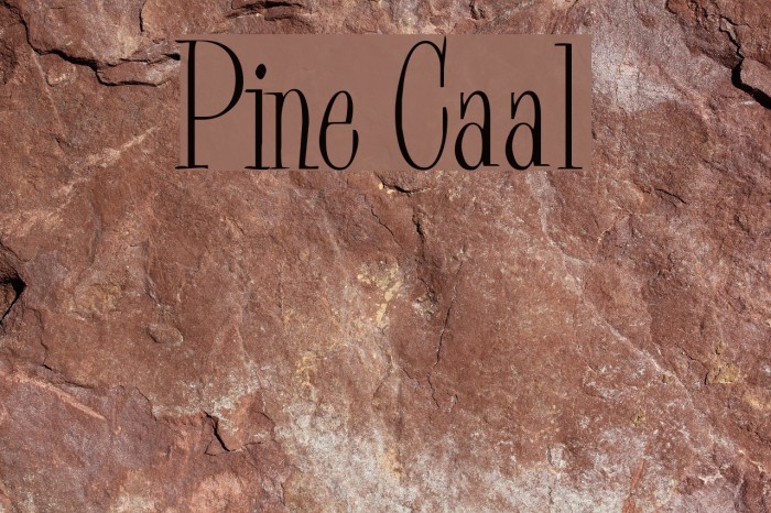Pine Casual Font examples