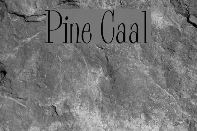 Pine Casual Font examples